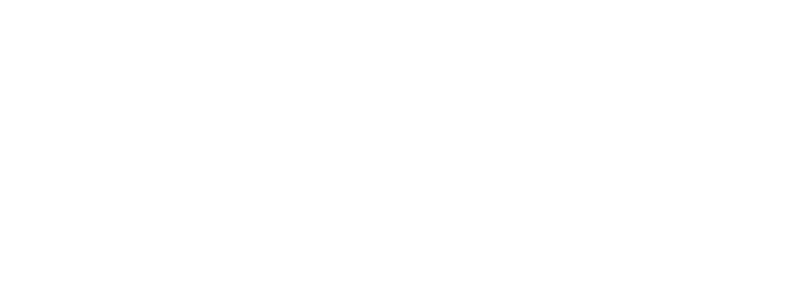 Care Logo Full White